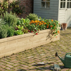 Grøntsagsbed / 300 x 112,5 x 45 cm