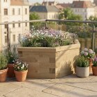 Hexagonal Wildflower Bed / 1.55 x 0.925 x 0.45m