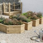 Three Tree Garden Planter / 330 cm x 195 cm x 45 cm