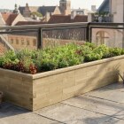 Stor høj hævet seng / 375 x 150 x 55 cm