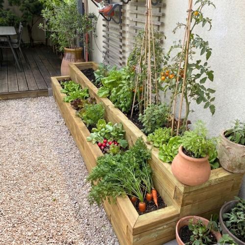 Ludovics terrasserede højbed