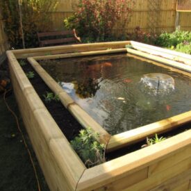Koi pond ideas