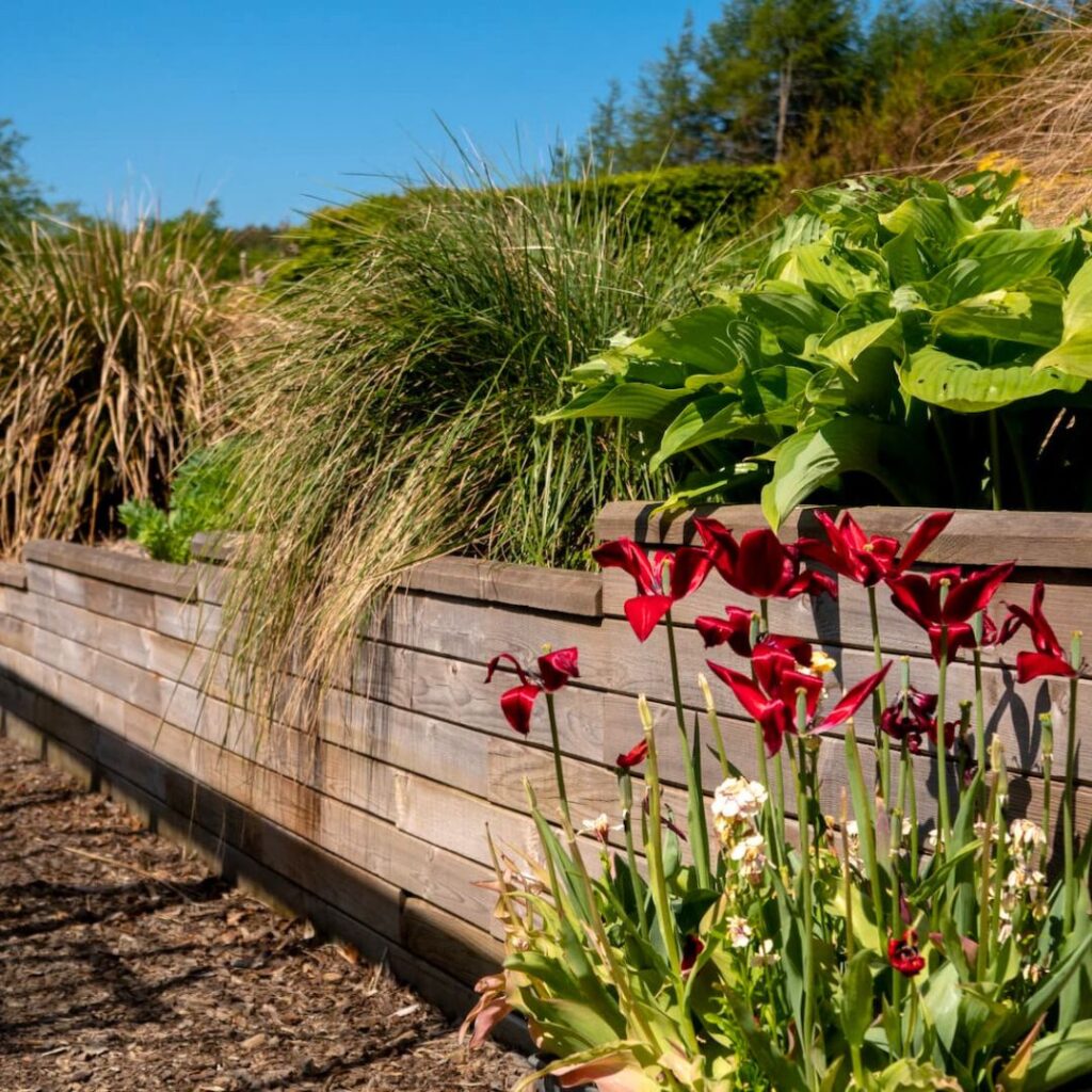 Se, hvordan WoodBlocX ældes over tid