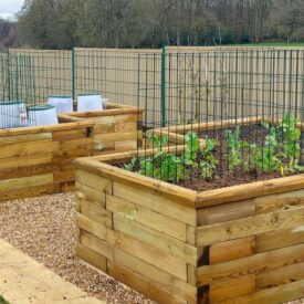 WoodBlocX-køkkenhave