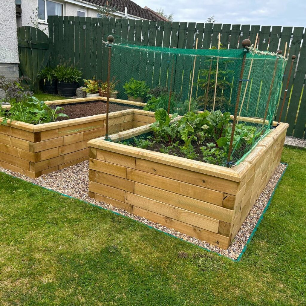 Colins og Alisons U-formede højbed