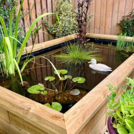 Rektangulært havebassin med planter